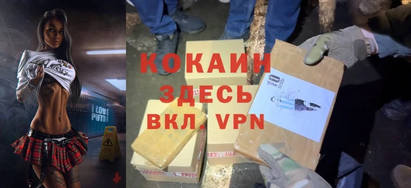 твердый Алексеевка