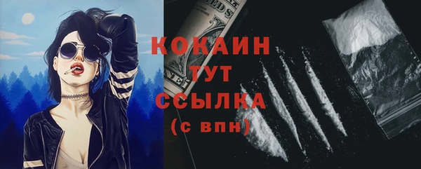 прущие грибы Алексин