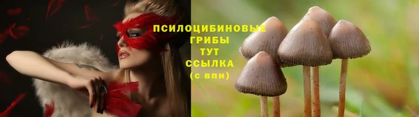 твердый Алексеевка