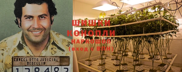 прущие грибы Алексин