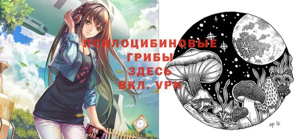прущие грибы Алексин